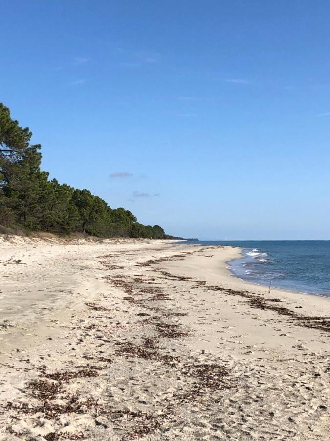 Butia Hébergement de vacances *